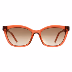 Ted Baker Sunglasses TB1639 Tanner 220 Transp Candy Cane Red Brown Grey Gradient