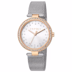 Esprit ES1L199M0075 Grey Mesh Strap Ladies Watch