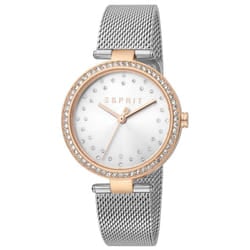 Esprit ES1L199M0075 Grey Mesh Strap Ladies Watch