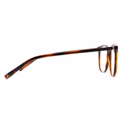 Ted Baker Glasses Frames TB9237 Karina 123 Honey Tortoise Women