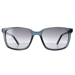 Ted Baker Sunglasses TB1529 Farley 625 Dove Blue Blue Grey Gradient