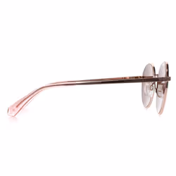Ted Baker Sunglasses TB1679 Willa 401 Rose Gold Brown