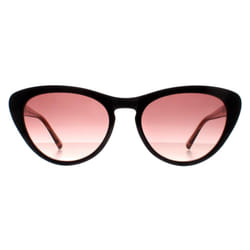Ted Baker Sunglasses TB1690 Violet 001 Black Brown