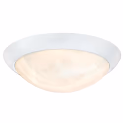 Westinghouse 6106640, 1 bulb(s), LED, 3000 K, 1000 lm, White