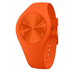 Ice-Watch Woman Watch ref. 17910