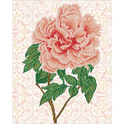 Diamond Dotz Rose Blush
