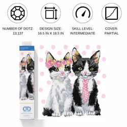 Diamond Dotz Mr & Mrs Pink
