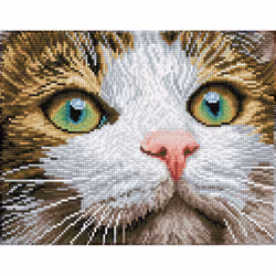 Diamond Dotz Green Eyed Beauty, Children's diamond painting kit, Multicolour
