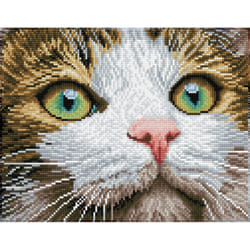 Diamond Dotz Green Eyed Beauty