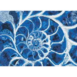 Diamond Dotz Blue Nautilus