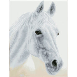 Diamond Dotz DQ8.009 art/craft toy