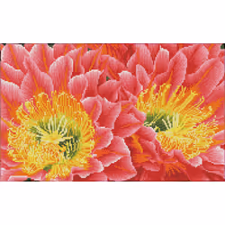 Diamond Dotz Desert Blooms, Children's diamond painting kit, Multicolour