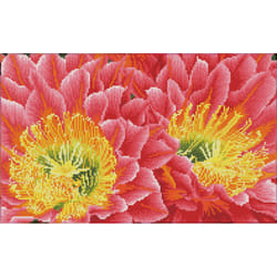Diamond Dotz Desert Blooms