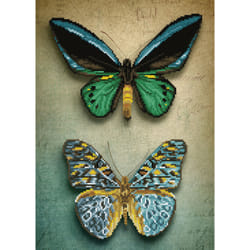 Diamond Dotz Antique Butterflies