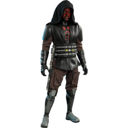 Figure Hot Toys TMS024 - Star Wars : The Clone Wars - Darth Maul