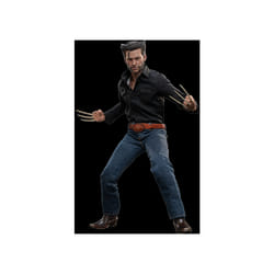Figure Hot Toys MMS659D - Marvel Comics -X-Men : Days Of The Future Past - Wolverine 1973 Suit Deluxe Version