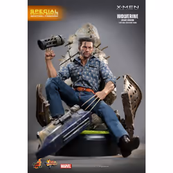 Figure Hot Toys MMS660D - Marvel Comics -X-Men : Days Of The Future Past - Wolverine 1973 Suit Deluxe Version