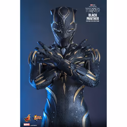 Hot Toys MMS675 - Marvel Comics - Black Panther : Wakanda Forever - Black Panther - Additional view 5
