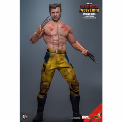 Figure Hot Toys MMS756 - Marvel Comics - Deadpool & Wolverine - Wolverine Jacket Version