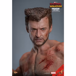 Figure Hot Toys MMS756 - Marvel Comics - Deadpool & Wolverine - Wolverine Jacket Version - Additional view 4