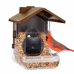 Wasserstein Bird Feeder Camera Case Compatible with Blink Wyze & Ring Security Cameras Including Blink Outdoor 4 Wyze Cam O ...