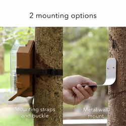 Wasserstein Bird Feeder Camera Case Compatible with Blink  Wyze & Ring Security Cameras Including Blink Outdoor 4  Wyze Cam OG & Ring Stick Up Camera