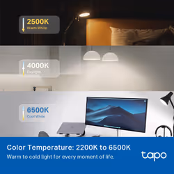 TP-Link Tapo Smart WiFi Light Bulb, Multicolor - Additional view 5