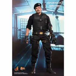 Figure Hot Toys MMS194 - The Expendables 2 - Barney Ross
