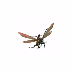 Figure Hot Toys MMSC003 - Marvel Comics - Ant-Man - Ant-Man On Flying Ant