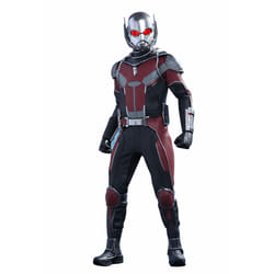 Figure Hot Toys MMS362 - Marvel Comics - Captain America : Civil War - Ant-Man