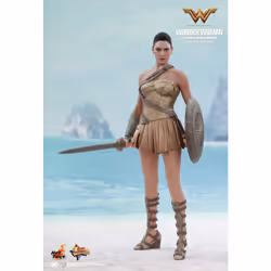 Figure Hot Toys MMS424 - DC Comics - Wonder Woman - Wonder Woman Training Armor