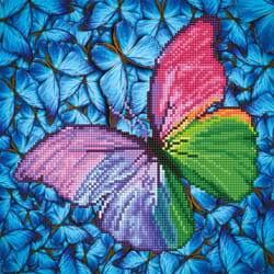 Diamond Dotz Flutter By Pink
