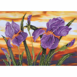 Diamond Dotz Iris Sunset, Boy/Girl, Adult, Iris Sunset, Multicolour, 10972 pc(s), 520 mm