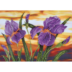 Diamond Dotz Iris Sunset