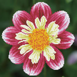 Diamond Dotz DD5.040 art/craft toy