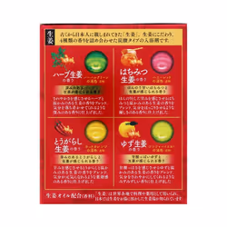Earth Corporation ONPO Kodawari Ginger 20 tablets