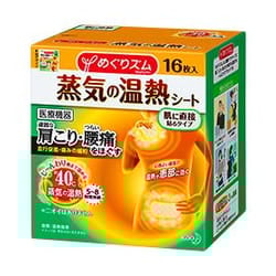 Megrhythm Megurism steam thermal sheet to stick directly to skin 16sheets