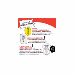 Comic Pen Nib- Type Professional - G Model - Titanium - Pack of 10 (PG-7B-C-K)