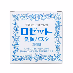 ROSETTE Face Wash Pasta For Dry Skin