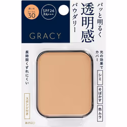 Shiseido Integrate Gracie White Pact Ex (refill) Ochre 30 11g Skin Makeup Integrated Gracie For Instructions On How To Replac ...