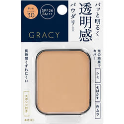 Shiseido Integrate Gracie White Pact Ex (refill) Ochre 30 11g Skin Makeup Integrated Gracie For Instructions On How To Replace The Foundation Into The