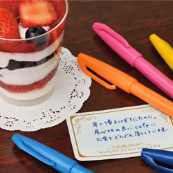 Pentel pen touch felt-tip pen 12 color set SES15C-12 (japan import)