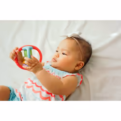 ToyLab B3200 motor skills toy