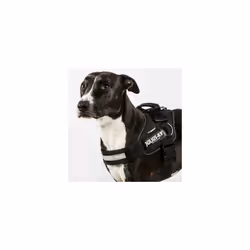 Julius-K9 IDC Powerharness Black Dog Harness - Extra Large