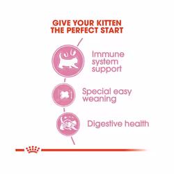 Royal Canin Mother & Babycat Dry Cat Food (For Adult Cats & Kittens, 400 g) - Nutritional Support for Pregnant and Nursing Cats, Growth & Development