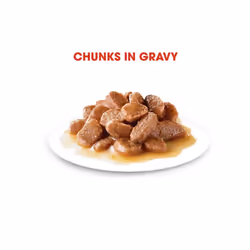 Royal Canin Feline Health Nutrition Intense Beauty Wet Cat Food (Chunks in Gravy, Adult Cats, 85 g)
