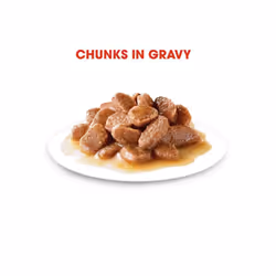 Royal Canin Feline Health Nutrition Instinctive Wet Cat Food (Chunks in Gravy, Adult Cats, 85 g) |Balanced Nutrition for Adult Cats|Healthy Digestion
