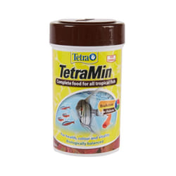 Premium Tetra TetraMin Flakes Fish Food for Vibrant Colors, Essential Nutrients for Healthy Fish