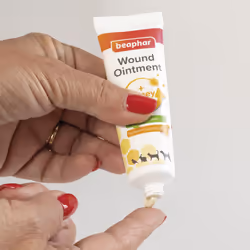 Beaphar Wound Ointment for Pets, Healing Properties of Honey and Turmeric With Aloe Vera and Essential Oils - 30ml