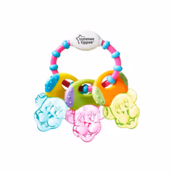 Tommee Tippee Teethe N' Play Waterfilled Teether For 6 Months+ Baby-Multi-Color